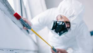 Best Commercial Pest Control  in Celoron, NY